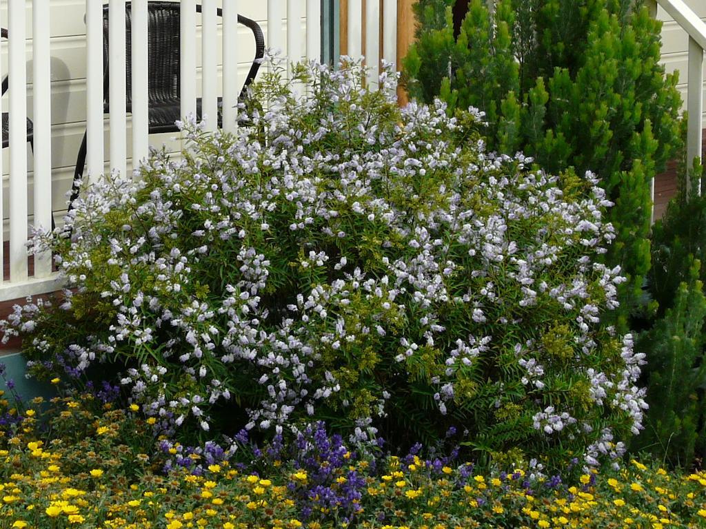 Victoria Bed & Breakfast 3*